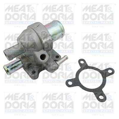 Thermostat, coolant